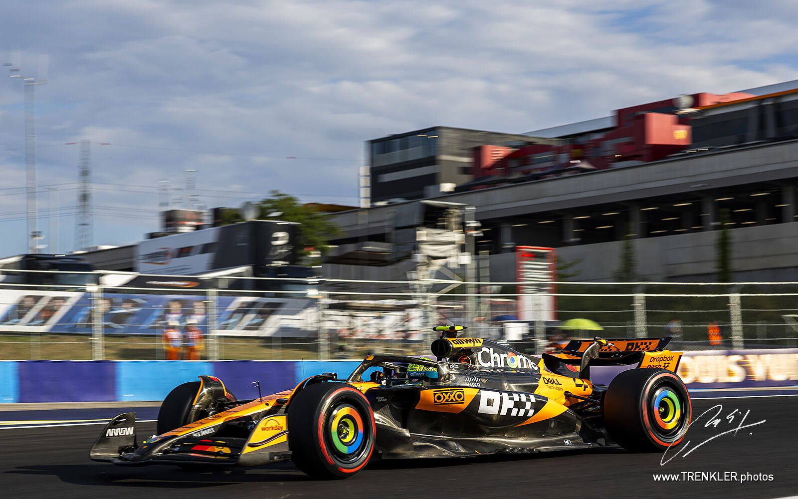 Lando Norris