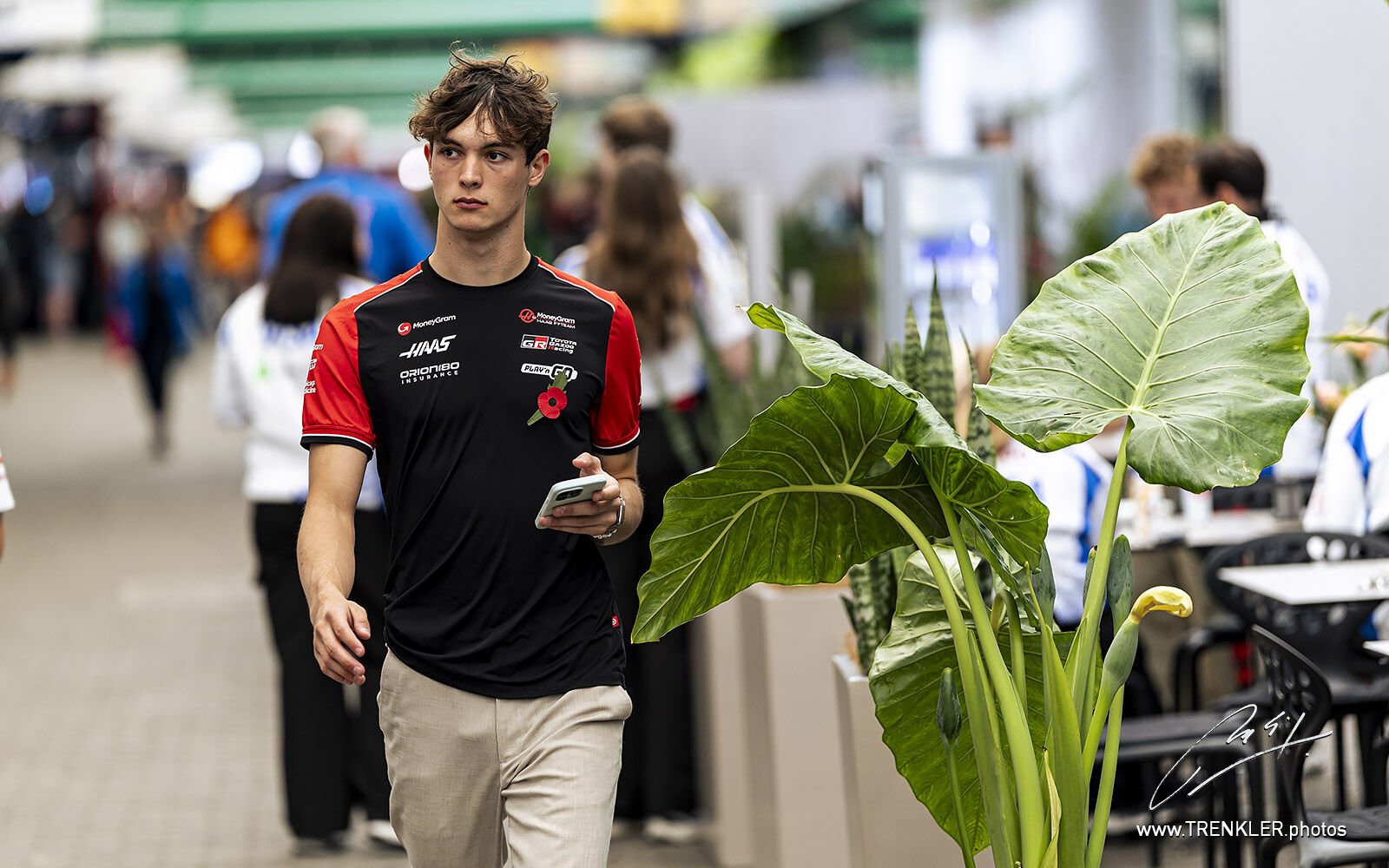 Aktuální fotografie