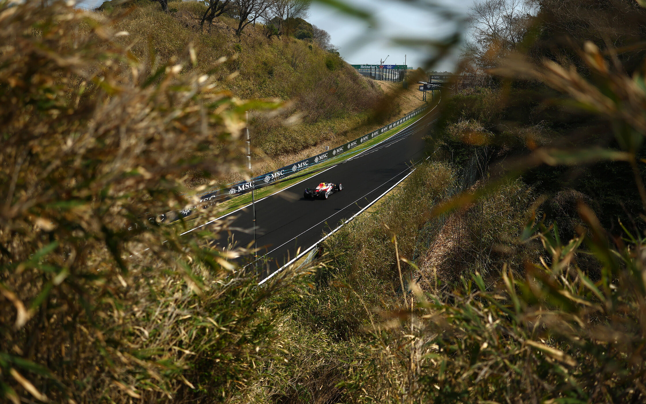 Aktuální fotografie