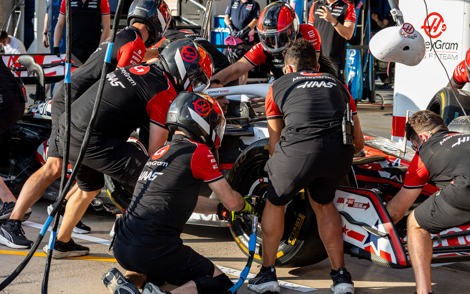 Aktuální fotografie