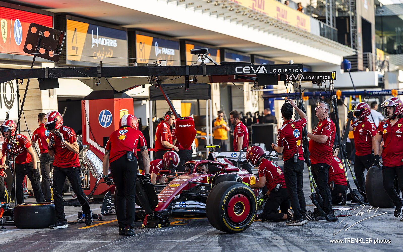 Aktuální fotografie