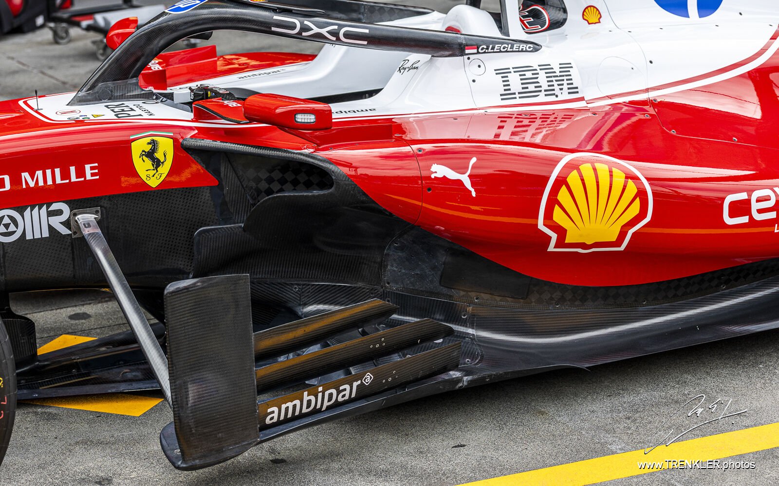 Aktuální fotografie